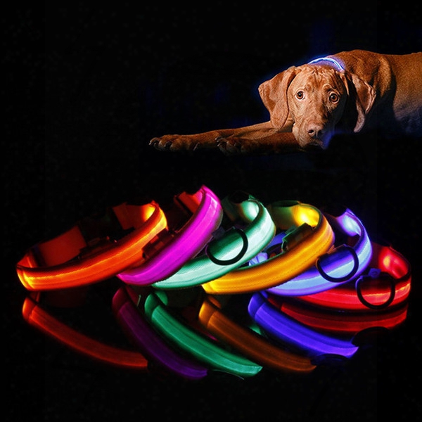 Led Light Flashing Dog Pet Put A ~ On Outdoor Luminous Night Safety Nylon Colorful  Necklace Leash Glow In The Dark Battery Version