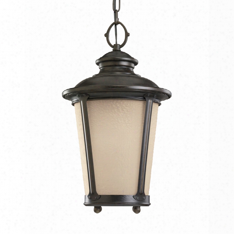 Sea Gull Lighting 60240-780 Cape May 1-light Outdooor Pendant Burled Iron Finish