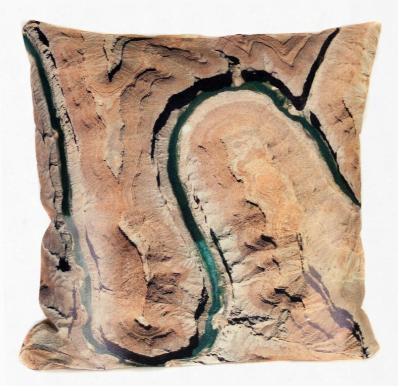 Snake Outdoor Throw Pillow Designed By Elise Flashman