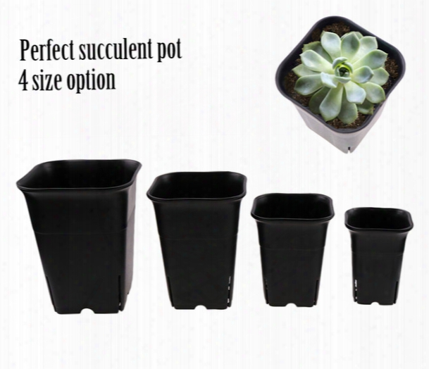 4 Size Option Square Nursery Plastic Flower Pot For Indoor Home Desk, Bedside Or Floor, And Outdoor Yard,lawn Or Garden Planting