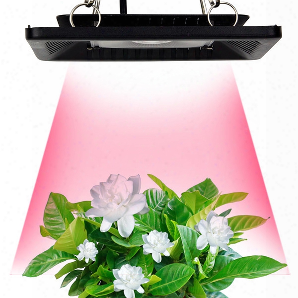 Cob Led Grow Light 100w Full Spectrum Ultra-thin Waterproof Ip67 Flowers Growing Lamp For Vegetables And Bloom Indoor Outdoor Plant