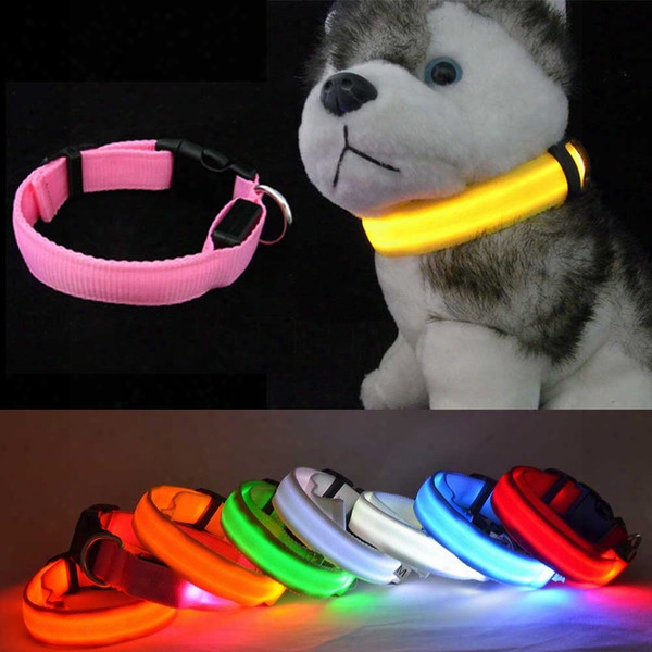 Colorful Electric Led Pet Collar Led Light-up Flashing Glow In The Dark Flash Night Outdoor Safety For Dog Harness All Seasons