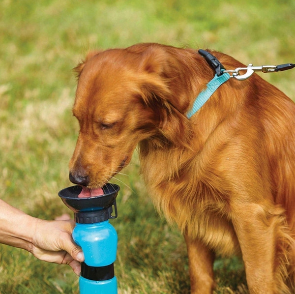 Puppy Travel Sport Bottle Outdoor Bpa Free Feeding Bottle For Dog Pet