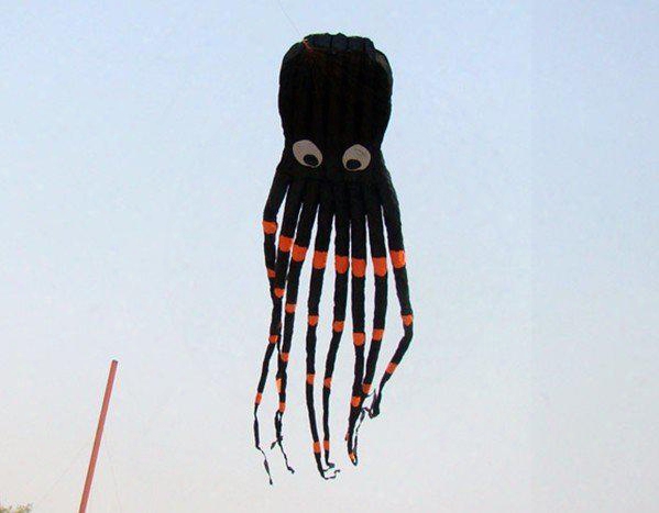 8m Single Line Stunt Biack Parafoil Octopus Power Sport Kite Outdoor Toys +flying Tool