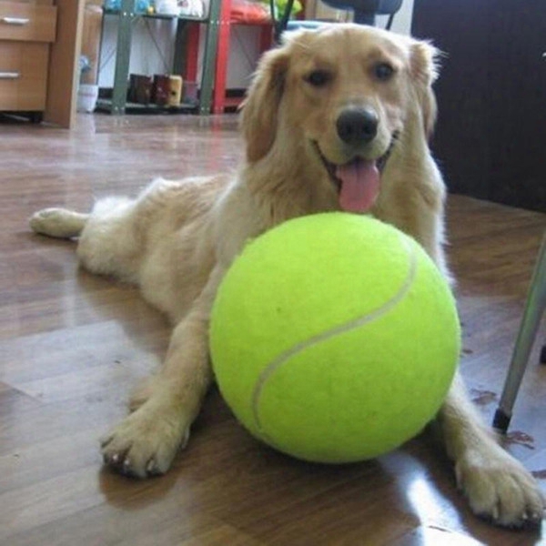 24cm Big Inflatable Tennis Ball Giant Big Giant Pet Dog Puppy Tennis Ball Thrower Chucker Launcher Play Toy Outdoor Sports Tennis Balls +b
