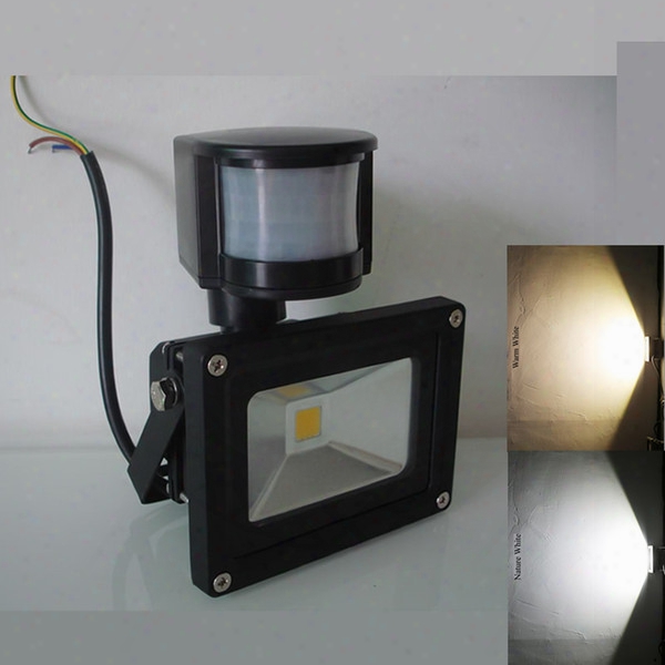 Pir Infrared Motion Sensor Led Floodlight Ac/dc 12v 10w 20w 30w 50w Cob Ip65 Led Flood Light For Garden Led Spotlight Outdoor