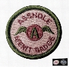 VP-56 3D military Patches ASSHOLE MERIT BADGE 3 Colors patch with magic tape armband outdoor badge sow on patch