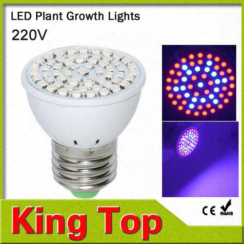 Wholesale-new Full Spectrum E27 15w 41 Red +19 Blue Led Grow Lamps For Flowering Plant And Hydroponics Outdoor Lighting