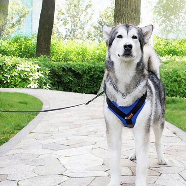 Soft Padded Adjustable Durable Outdoor Pet Dog Nylon Mesh Vest Chest Strap Harness Leash 1.2m Lead Set For Large Medium Dogs Pet