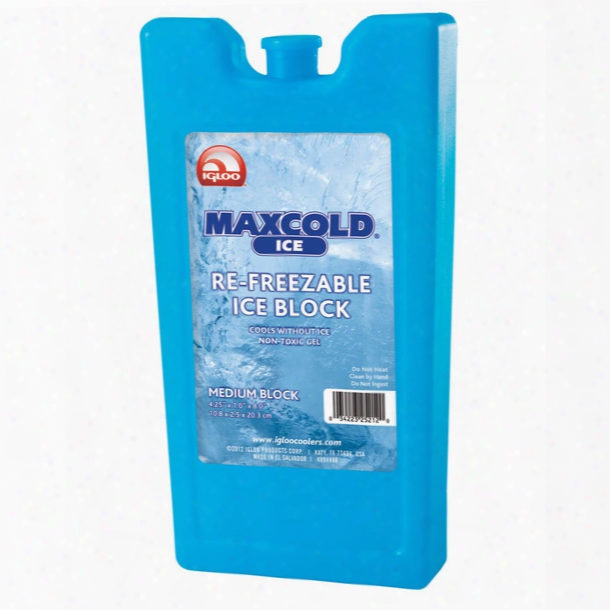 Igloo Maxcold Ice Re-reezable Ice Block