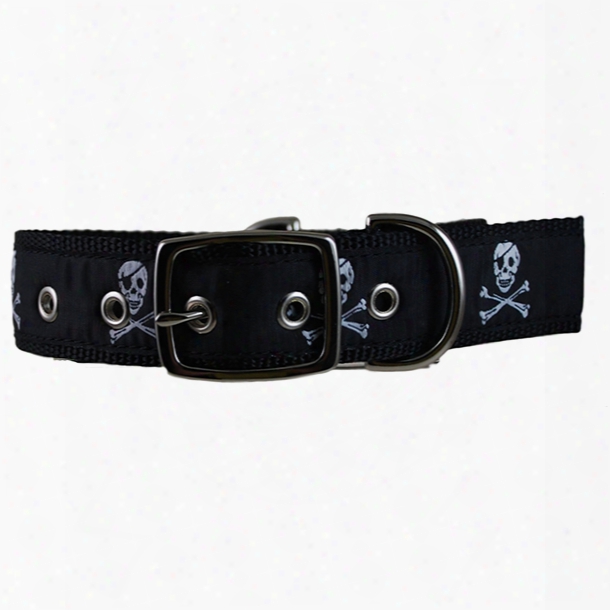 Leather Man Pirate Dog Collar, Black, M - Size - Medium