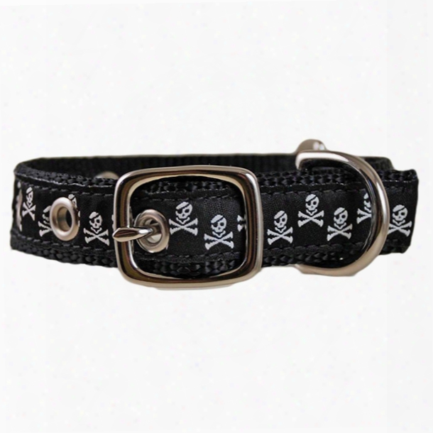 Leather Man Pirate Dog Collar, Black, Xs