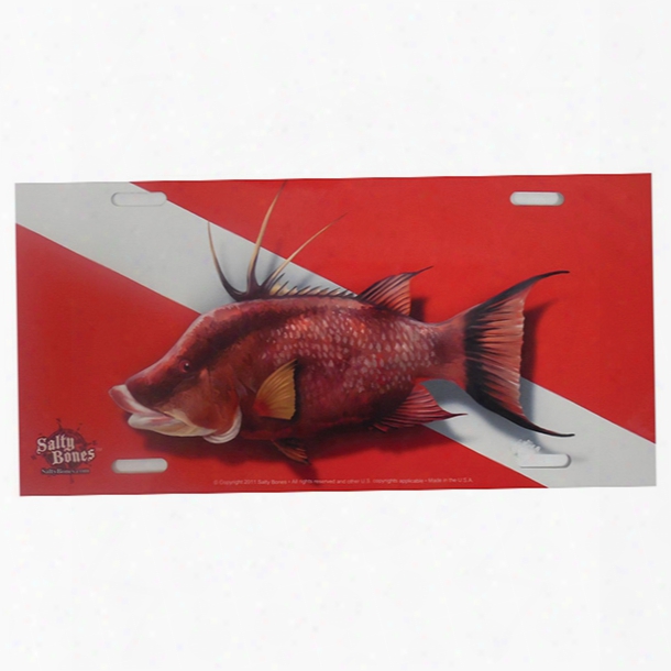 Marine Sports Airbrushed Dive Flag With Hog Fish License Plate