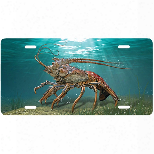 Marine Sports Lobster License Plate