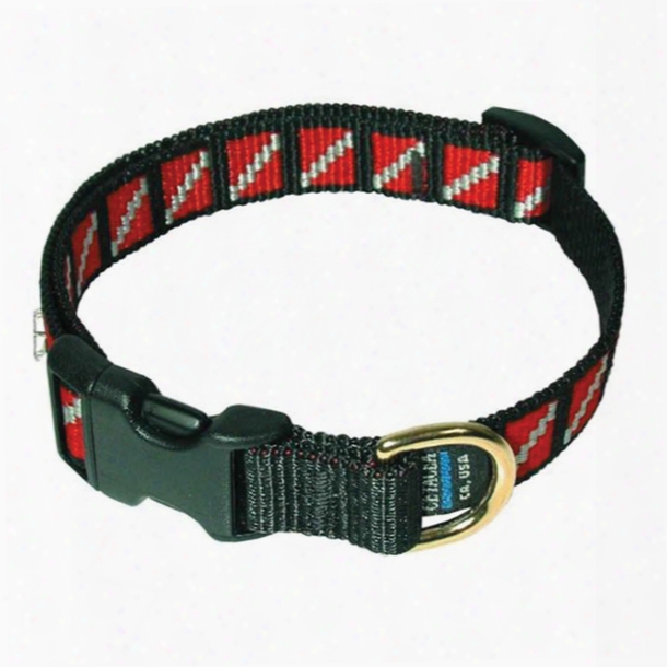 Marine Sports Pet Collar With Dive Flag Design