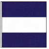 Taylor Made Code of Signals Flag (J)