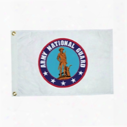 Taylor Made Army National Guard Novelty Flag, 12" X 18