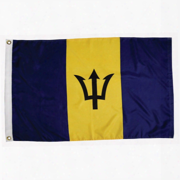 Taylor Made Barbados Courtesy Flag, 12" X 18