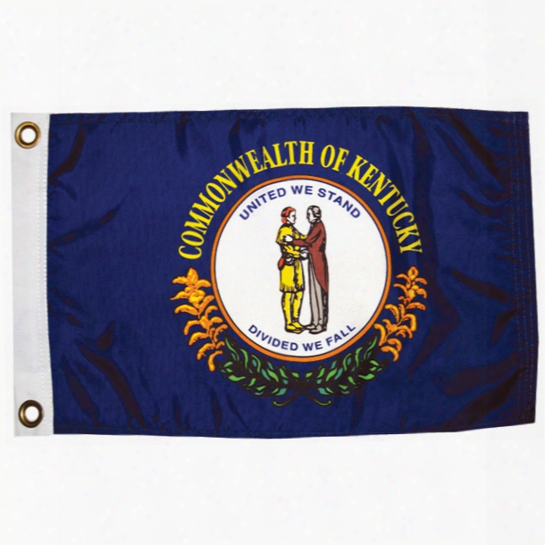 Taylor Made Kentucky State Flag, 12" X 18