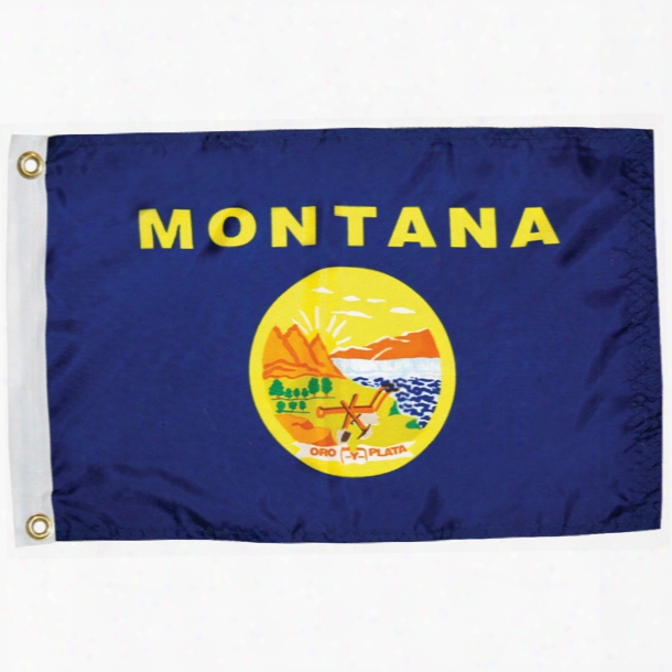 Taylor Made Montana State Flag, 12" X 18