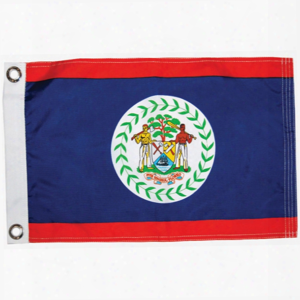 Taylor Made Belize Courtesy Flag, 12" X 18