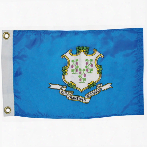 Taylor Made Connecticut State Flag, 12" X 18