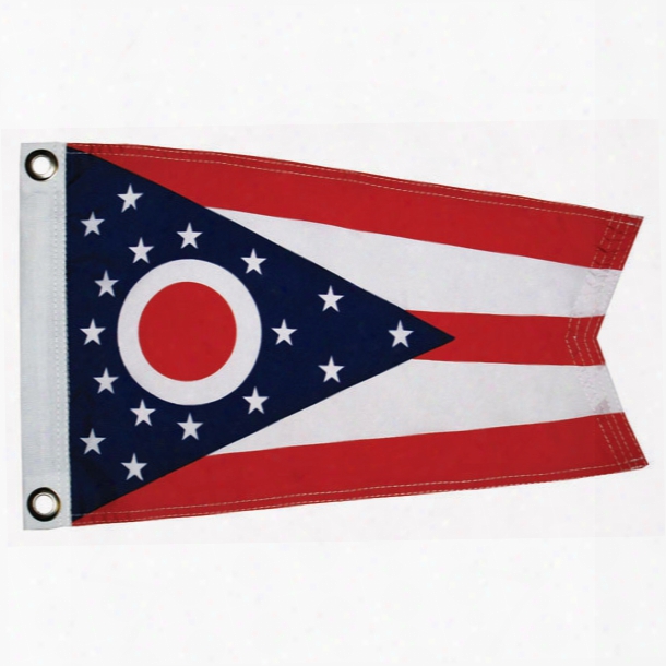 Taylor Made Ohio State Flag, 12" X 18