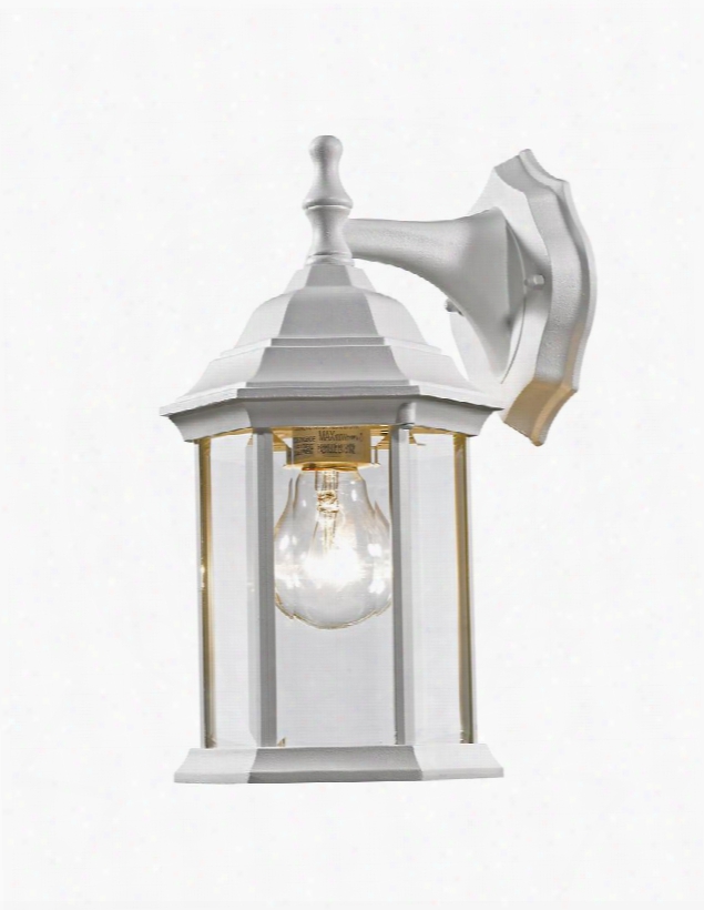 Waterdown T21wh 6" 1 Light Outdoor Wall Light Period Inspired Old World Gothichave Aluminum Frame With Gloss White Finish In Clear