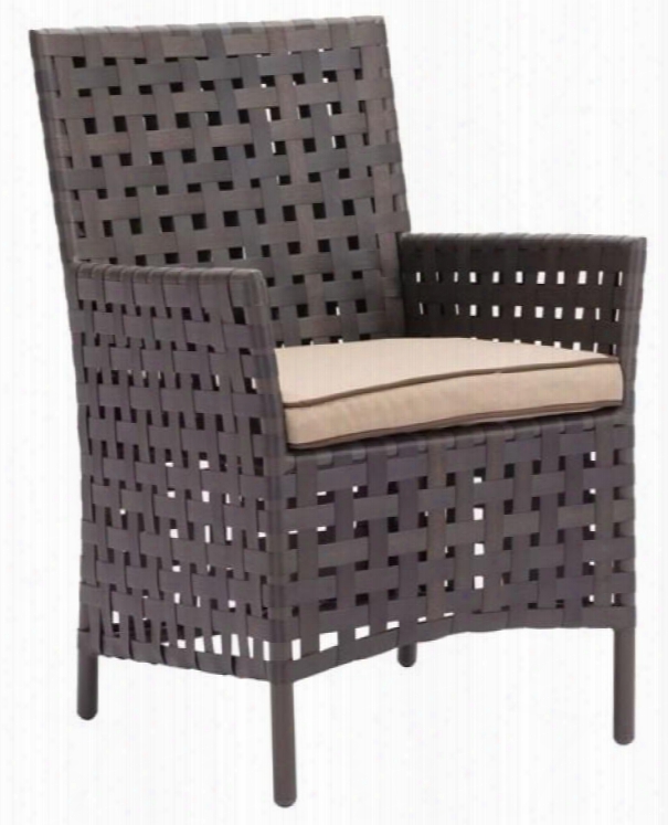 703790 Pinery Dining Chair Brown &