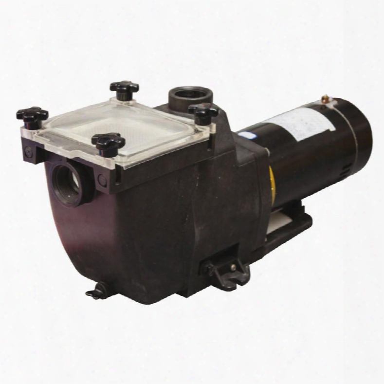 Ne8151 Tidalwave 1 Hp Replacement Pump For I/g
