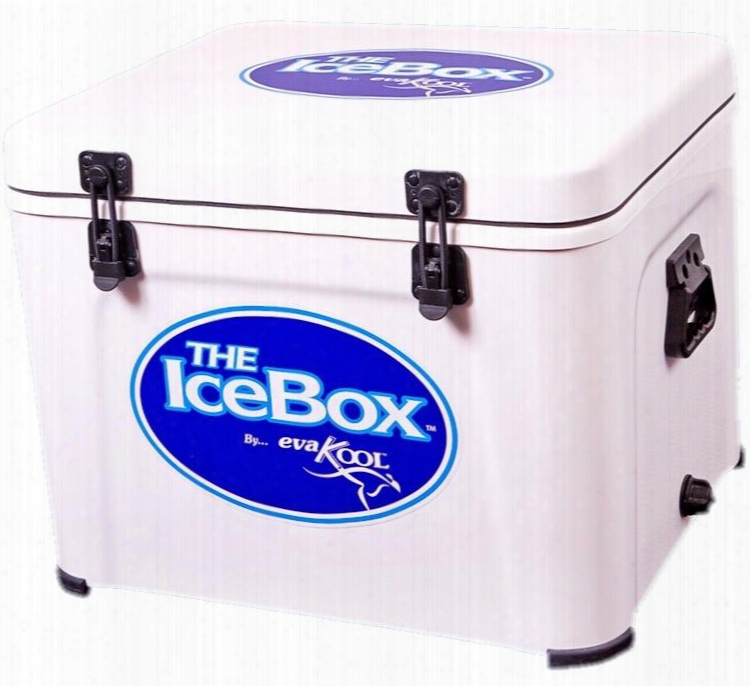 Tib65 Fibreglass Icebox With 65 Litre Capacity In