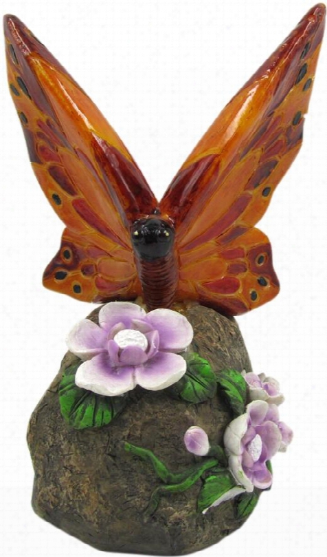 Lpp126slr Butterfly On Rock With