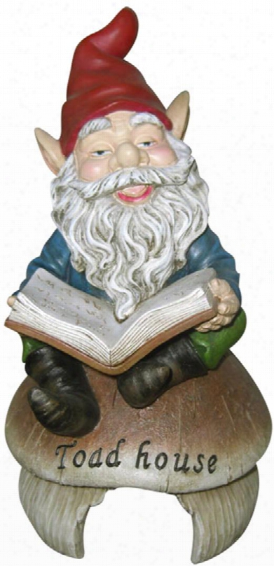Wac264 Gnome Reading Book On
