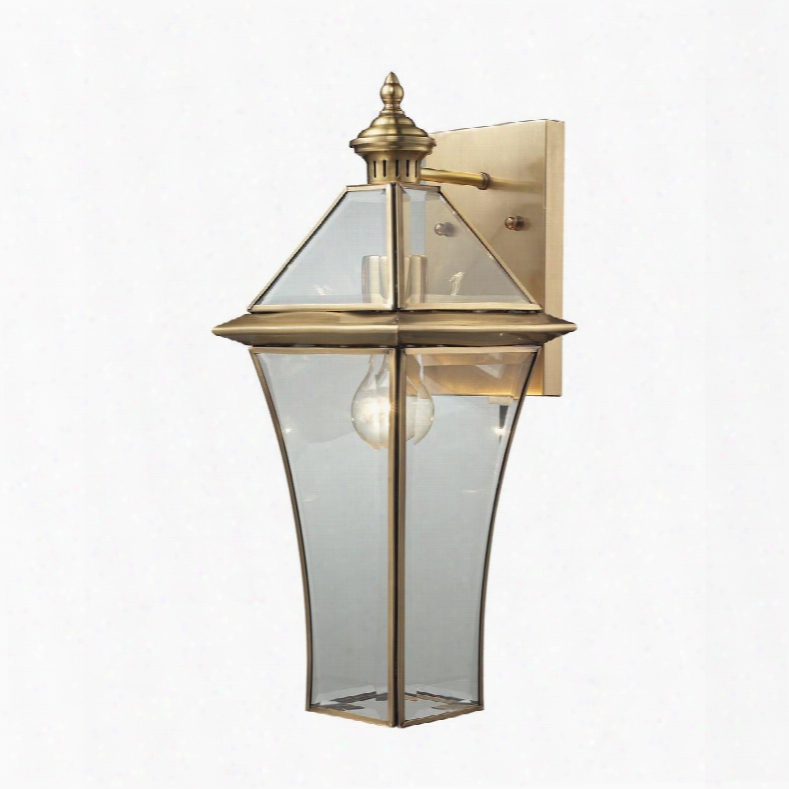 22031/1 Riverdale 1 Light Outdoor Sconce In Brushed