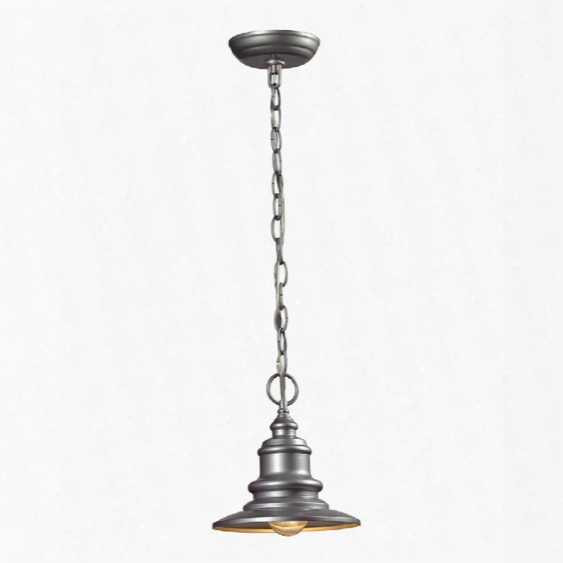 47021/1 Marina 1 Light Outdoor Pendant In Matte