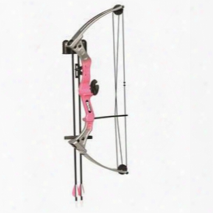 Ays300pr Pink Brave Youth Bow Set With Safetyglass Two Arrows An Armguard Two-piece Arrow Quiver A Finger Tab Whisker Biscuit Arrow Rest One-pin Sight