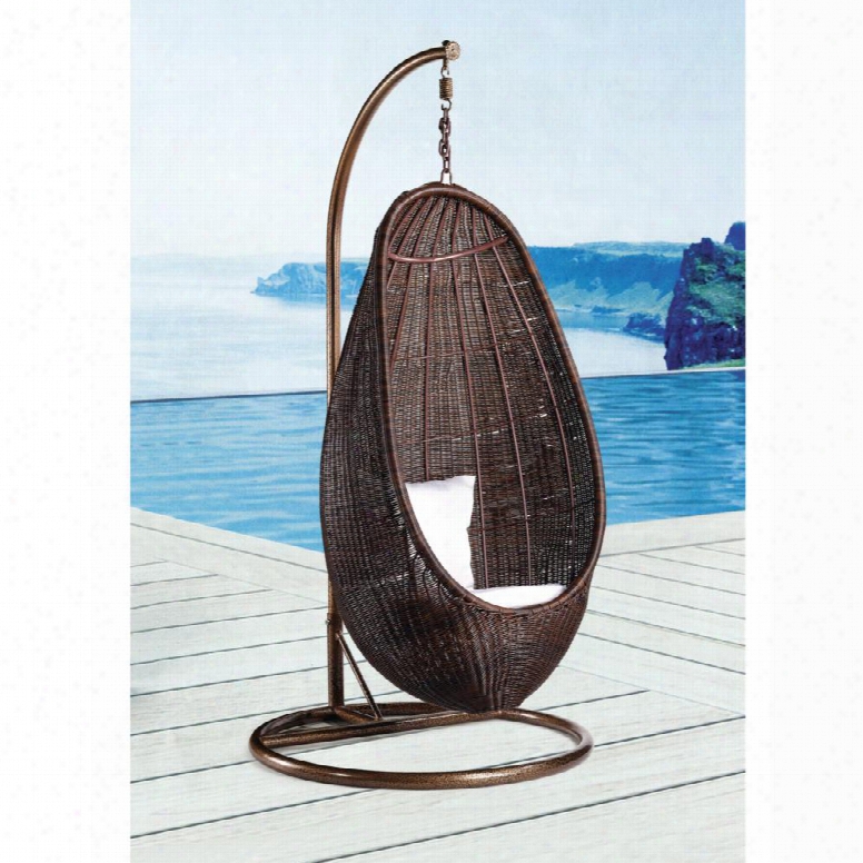 Fmi10032-chocolate Rattan Hanging Chair With Stand Chocolate