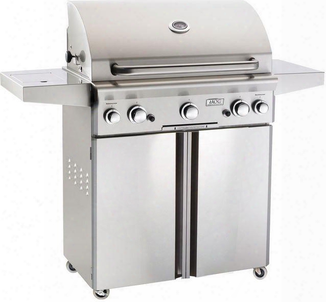 30nc Stainless Steel Portable Natural Gas Grill With 10 000 Btu Rotisserie Backburner 12 000 Btu Side Burner And Heavy Duty Warming