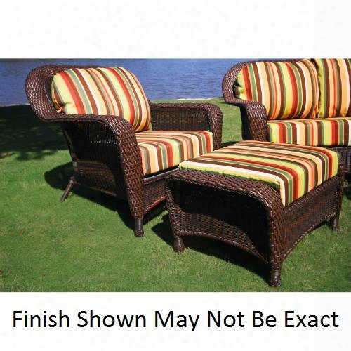 Lex-co3-t Sea Pines Chair & Ottoman Bundle With 100% Spun Polyester Cushions Powder Coated Aluminum Frames Outdoor All Weather Wicker & In