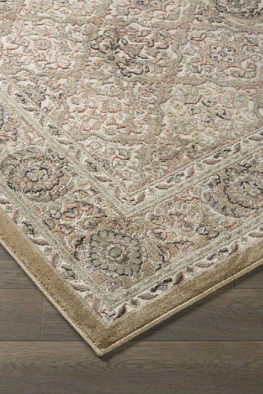 Daisuke R401912 84" X 60" Medium Sixe Rug With Floral Design Machine-woven 9mm Pile Height Spot Clean Only And Polyester Material In Taupe
