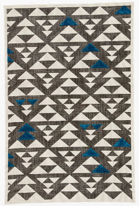 Sims Indoor/ Outdoor Geometric Gray & White Area Rug Design By Jaipur