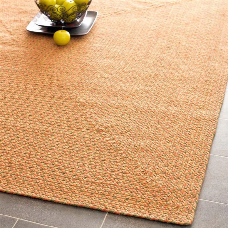 Braided Collection Area Rug In Orange And Beige Design By Safavieh