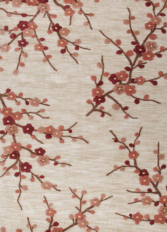 Brio Collection Cherry B Lossom Rug In Colorado Clay Design By Jaipur