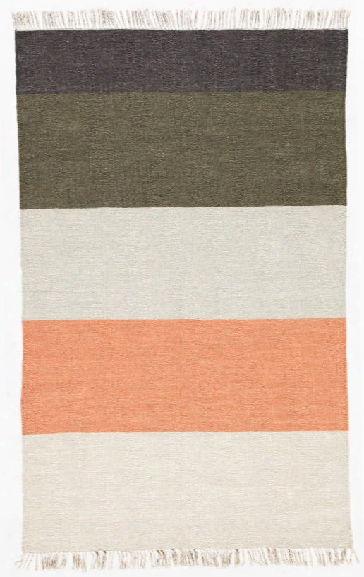 Swane Indoor/ Outdoor Stripec Oral & Green Area Rug Design By Jaipur