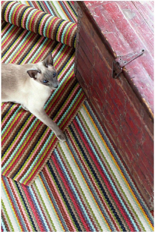 Toluca Stripe Indoor/outdoor Rug Design By Dash & Albert